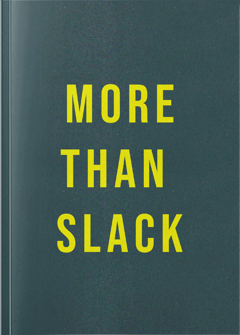 More Than Slack, a novel by Tara Liv